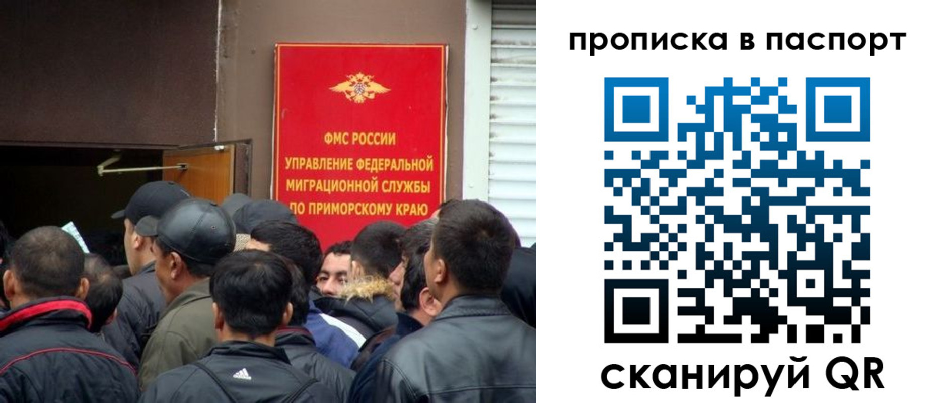 прописка поиск в Кимрах
